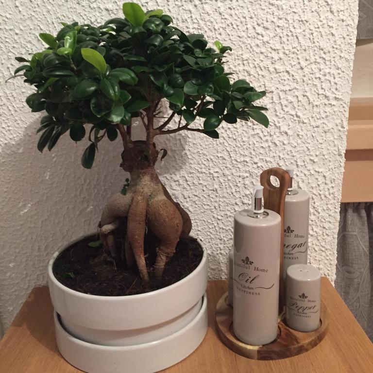 Appartamento Annamaria Ostuni Kamer foto